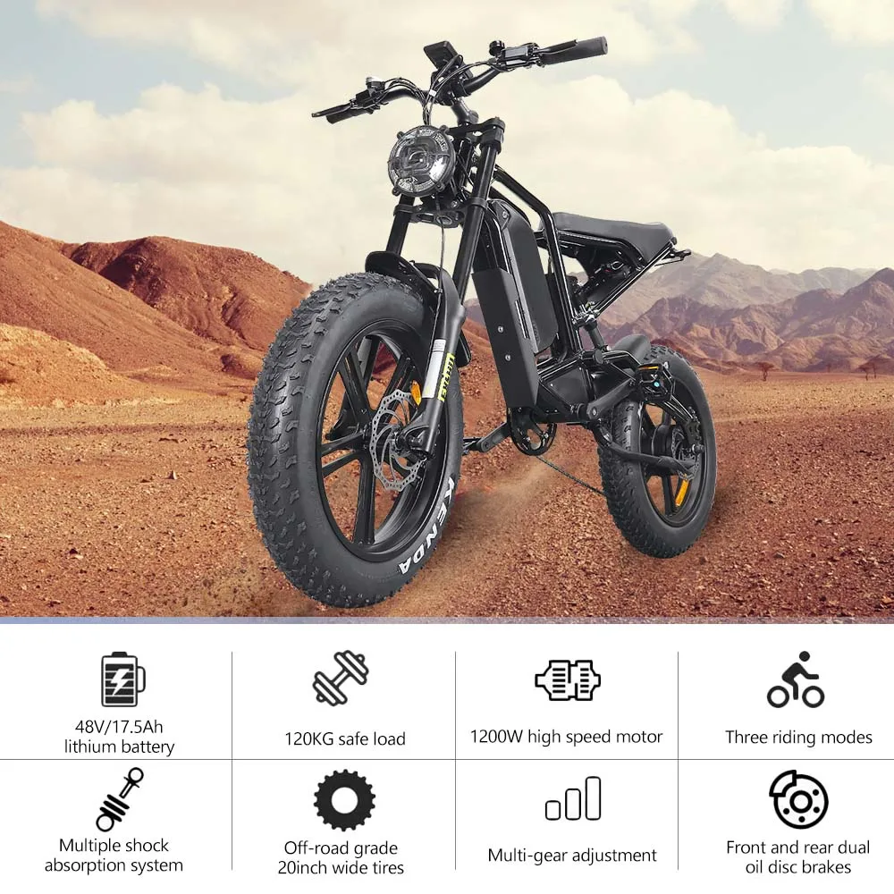 Hidoes Fashion Online 48v Battery Electric Bike Electric City Bike Bicycle with Bike for Adult