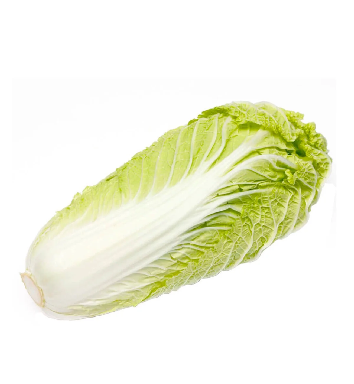 Natural Non-GMO juicy food grade fresh season vegetables from Uzbekistan fresh Chinese cabbage for food