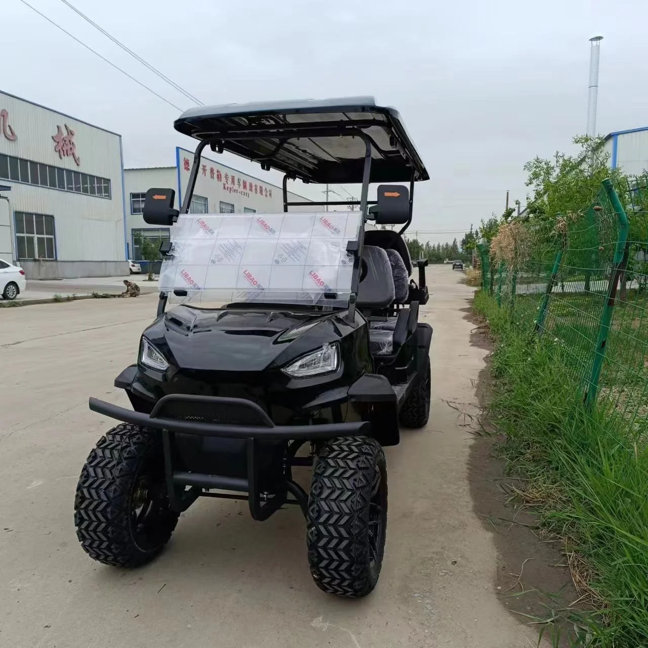 china 6 Person 48v electric lifted street legal New Electric golf cart   luxury  golf buggy  club car