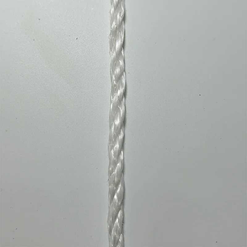 2024 Plastic Twine Light-Weighted Uhmwpe Rope