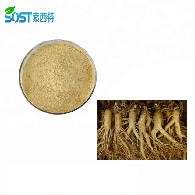 
SOST Panax Korean Red Ginseng Root Extract Gold Ginsenosides 