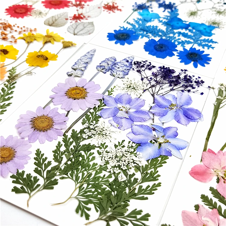 2021 New High Quality Real Dried Flowers with Red Net for Nails Bulk Dried Flowers Decoration