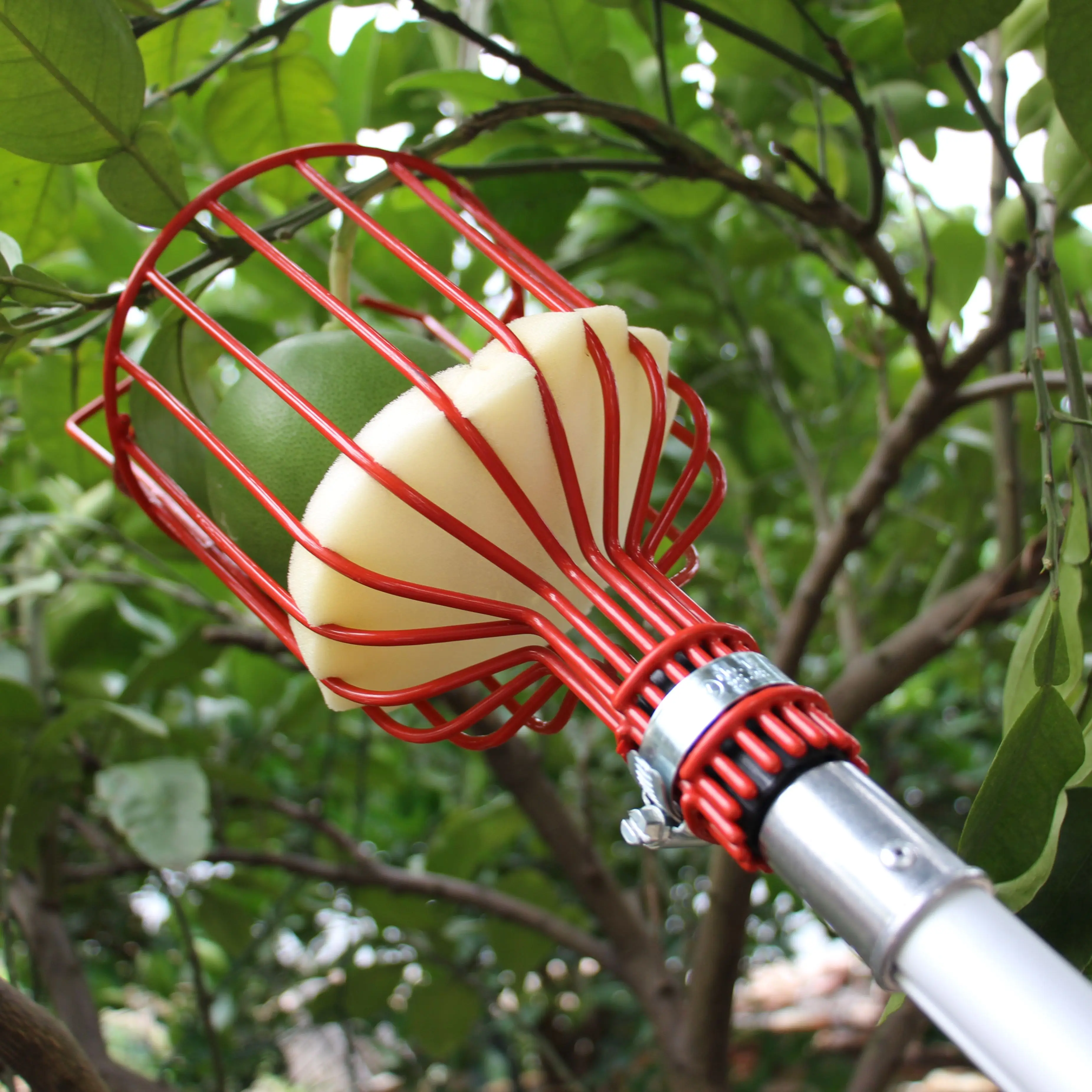 Extentool garden tools durable fruit picker extendable telescopic aluminum pole with strong basket