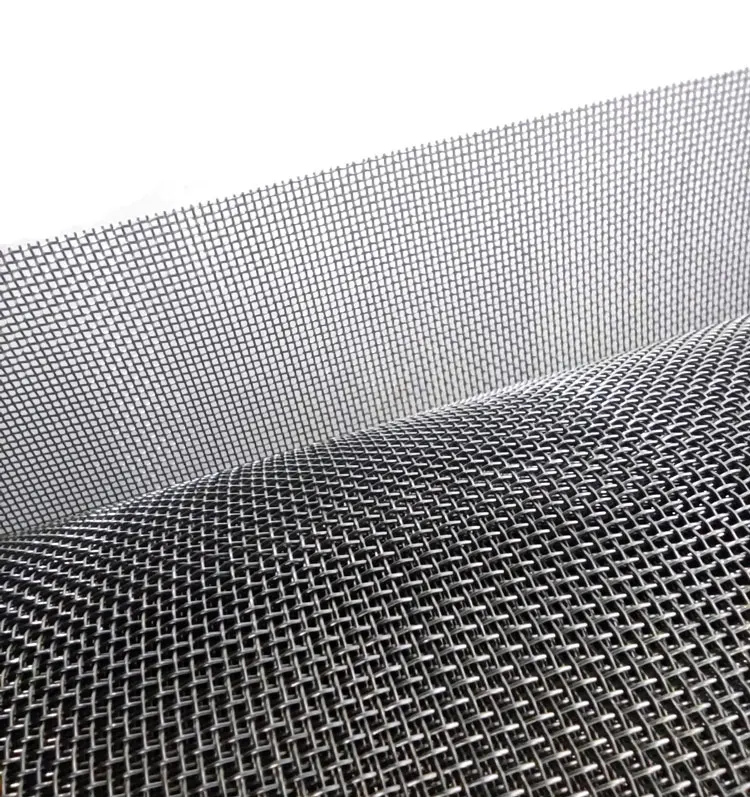 AISI 304 316316L Stainless Steel Wire Mesh Filter Screen