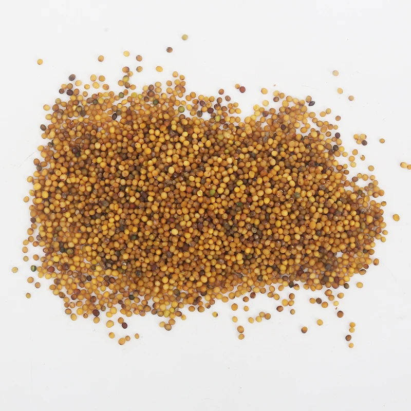 Yellow mustard seed
