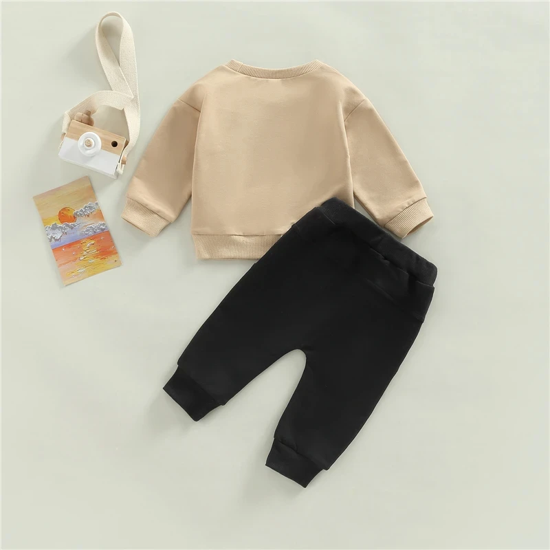 drop shipping baby hoodie set two pieces baby cloth wholesale hot selling baby wear