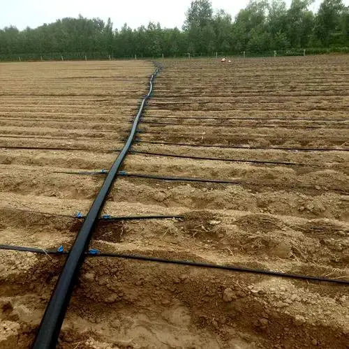 agriculture drip tape irrigation 30cm drip space hose watering tape save labor and water