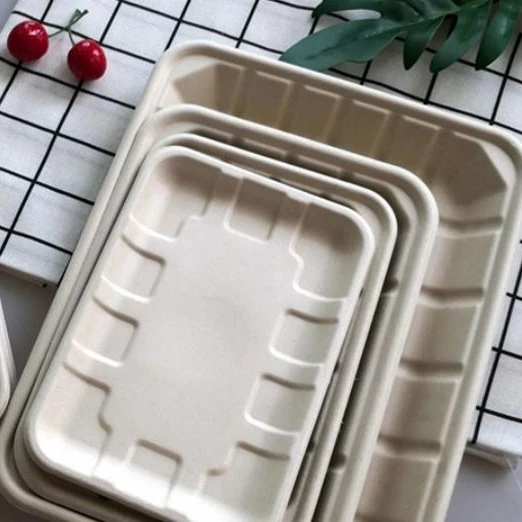 Biodegradable Meal Fruit Meat Vegetable Thermoseal Rectangle Sugar Cane Bagasse Tray