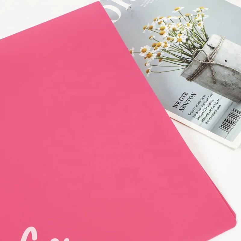 Hengyao Wholesale Factory  A4 PP Plastic 2 Pocket File Folder with Metal Clip