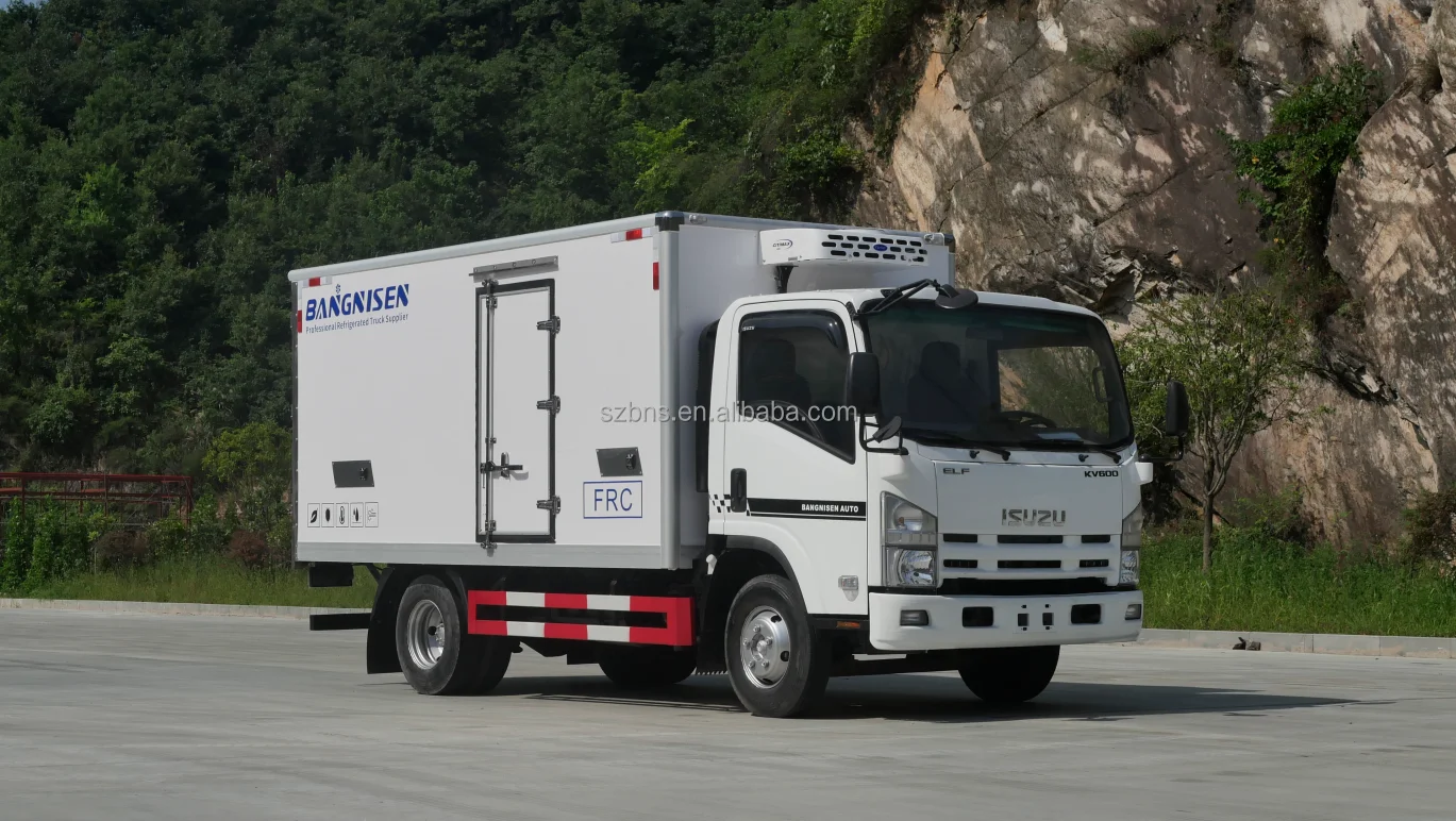 BNS Customized isuzus kv100 refrigerated truck 2016/2017