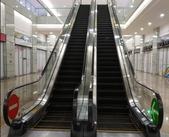 Africa Hot Sale High Quality Fuji elevators and escalators escalator for Home
