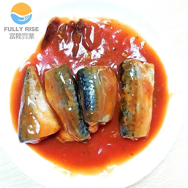 Canned jack Mackerel in tomato sauce in can to Chile