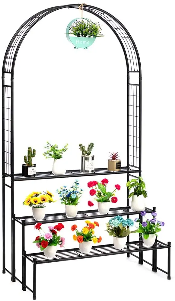 61h2JZ2Sg3L._AC_SL1001_