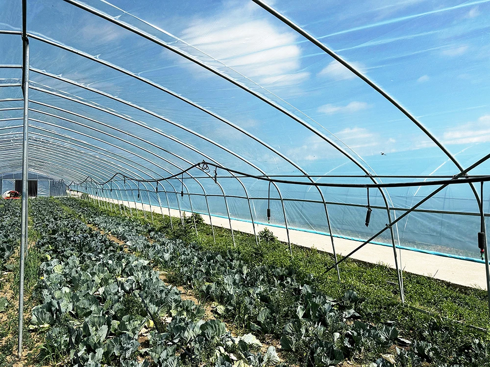 Baolida Plastic Film Green House Metal Hotehosue Frame Tunnel With Plastic Covering