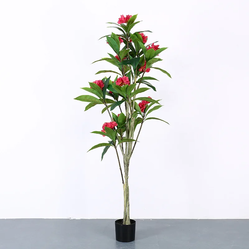 Tropical plants potted Frangipani tree for hotel decoration bonsai plumeria tree