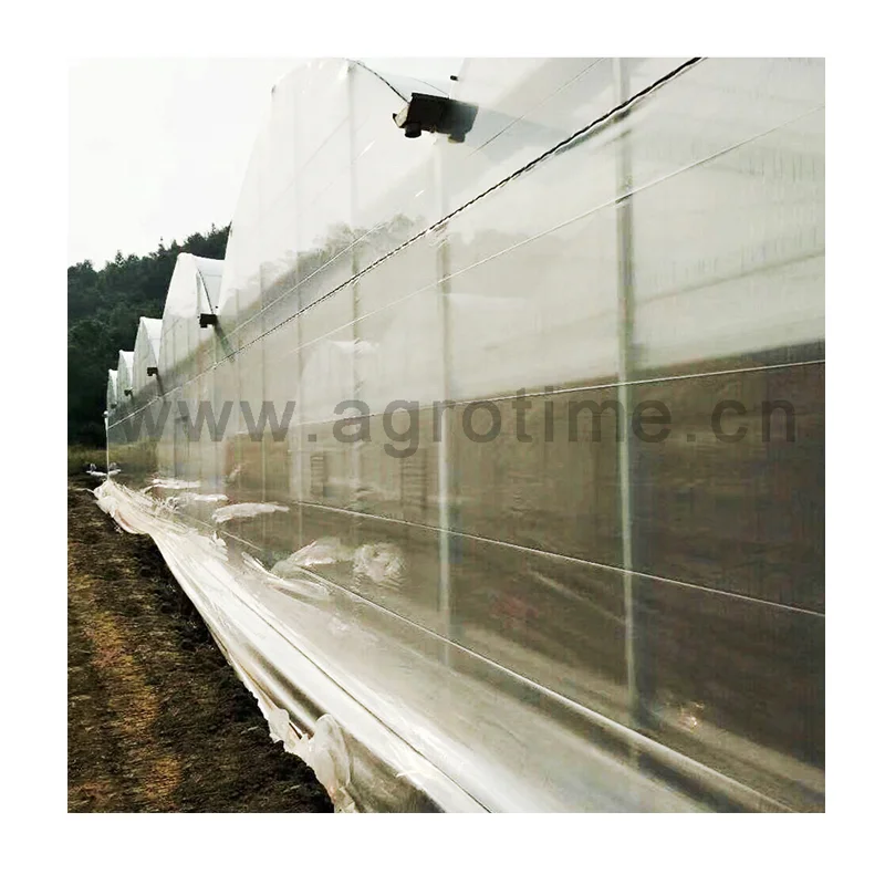 
Multi-span greenhouse hoop house with vertical indoor farming plastic shed aquaponics system for fish and vegetable 