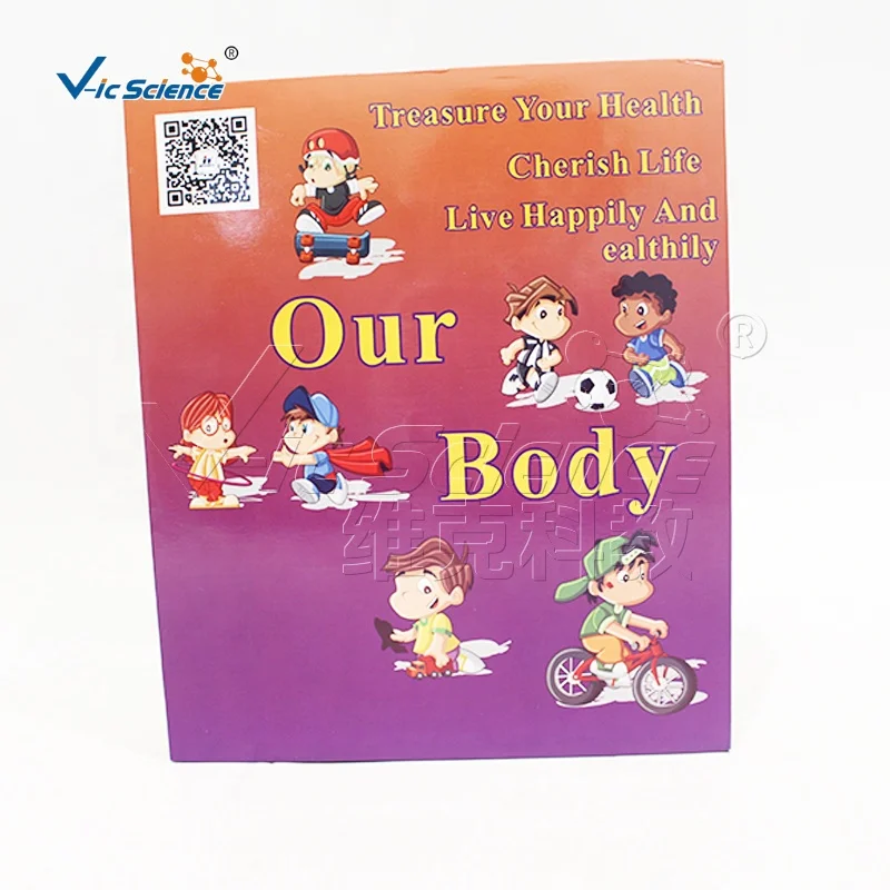Skeleton structure chart in the human body encyclopedia human body model science set puzzle toy