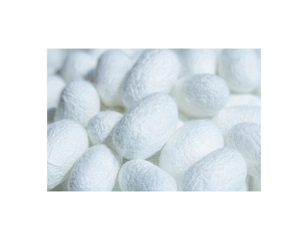 Hot Selling Manual Picking Natural Quality Silkworm Cocoons Raw Material Cocoon Silk