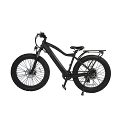 Factory Outlet Black 48V 20Mph 26 Inch Brushless Motor Adult Balance Electric Sports Bike