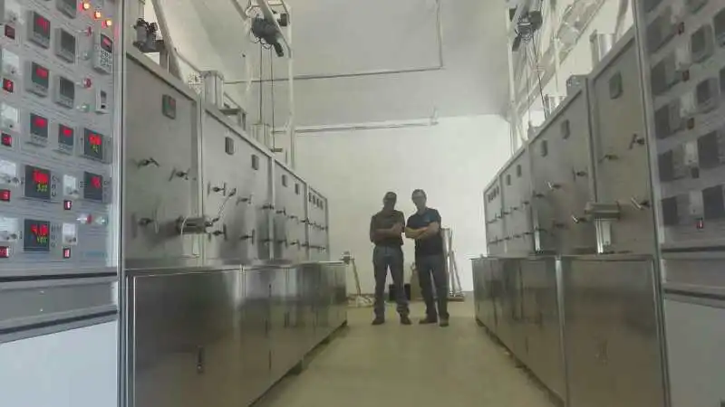 Supercritical Carbon Dioxide Extraction Process Of Vanilla