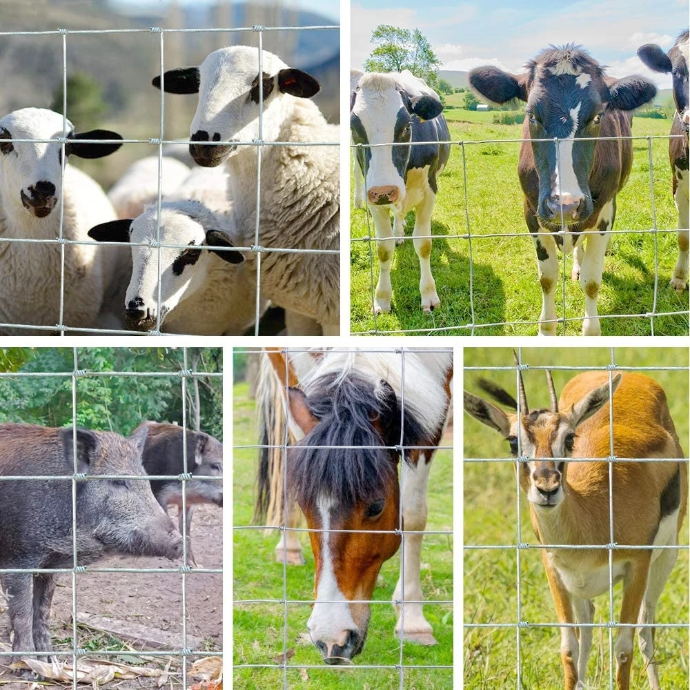 Cheap 1.8m  hinge knot fixed-knot game field fence prices farm field pig hog fence deer mesh wire cattle fencing farm