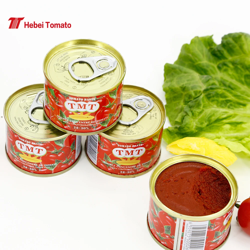 Halal 70g Canned Tomato Paste Easy Open Without Additive Tomato Sauce