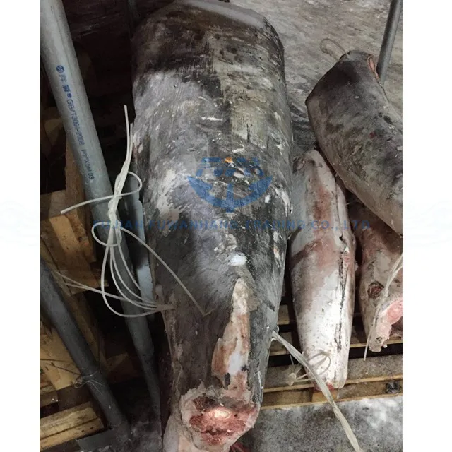 Frozen Swordfish Fresh Live wholesale Sailfish Marlin Swordfish Tuna Fish (Xiphias gladius) swordfish Best Quality Certified