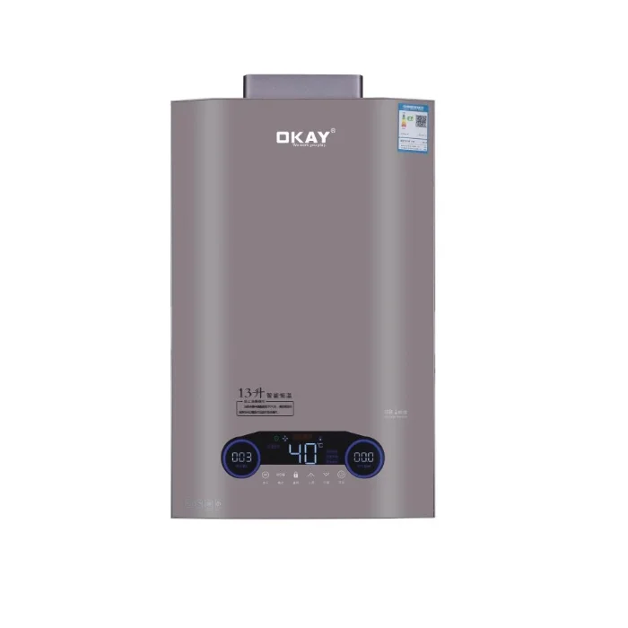 6L to 8L 10L 12L 14L 16L18L Natural Boiler Instant Gaz Propane Tankless Lpg gas instant constant digital type gas water heater