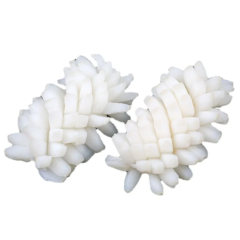 L75  best sellers frozen giant squid flowers new arrival skin off  squid pineapple