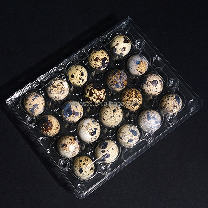 Factory direct selling High Quantity disposable transparent PET packaging box quail egg tray