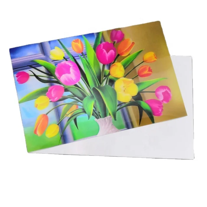 Custom Big size lenticular 3D picture 40x60cm lenticular poster