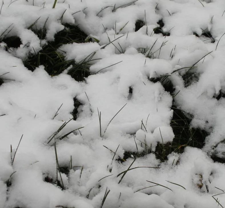 Christmas Decoration Artificial Instant Snow Powder