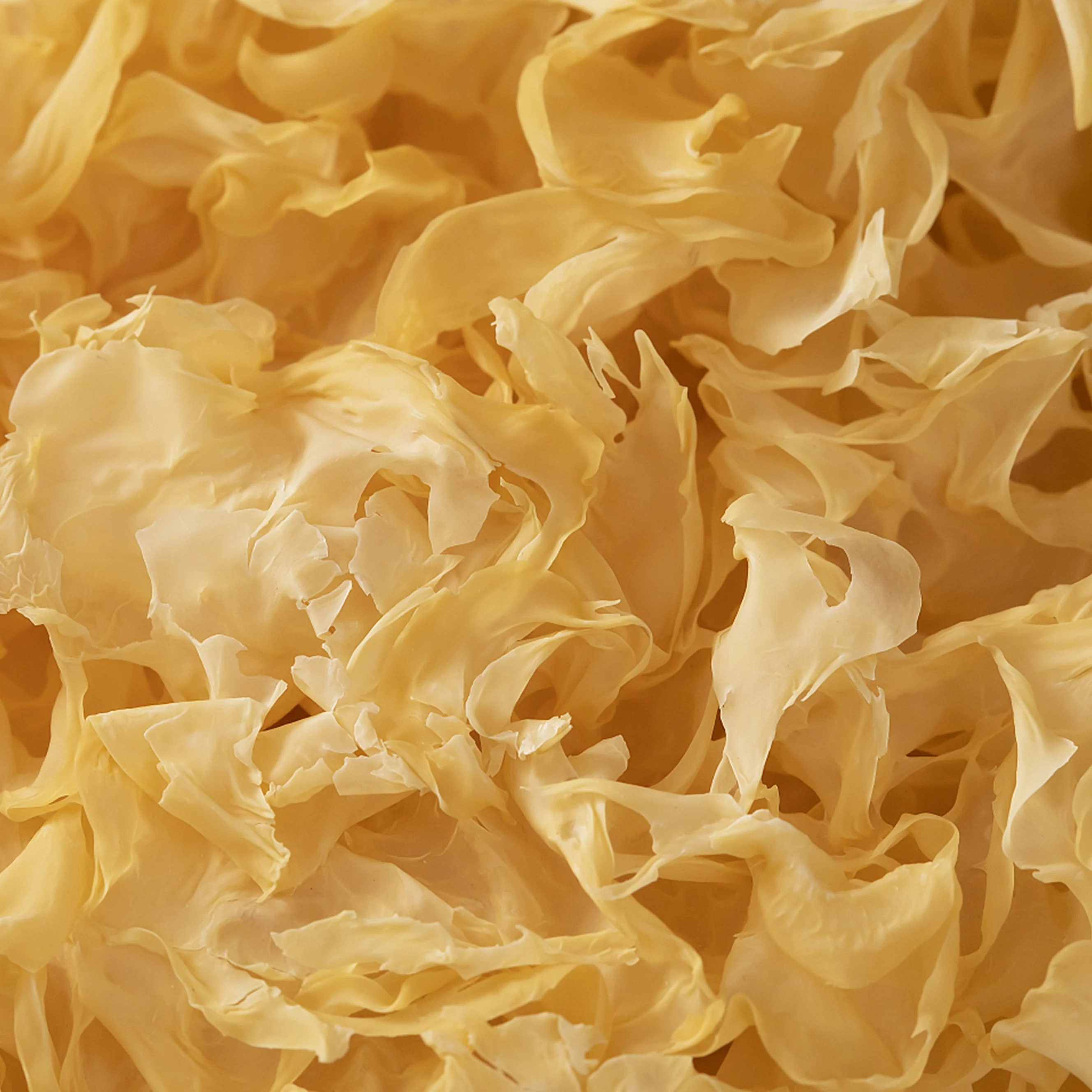 Оптовая продажа, сушеный гриб тремеллы, органический Золотой грибок тремеллы