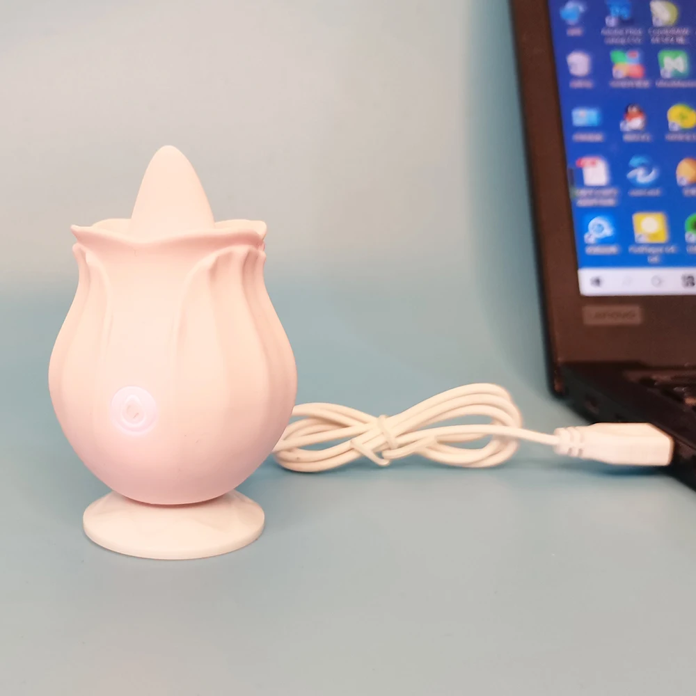 Charger  for Rose Sex Toy Vibrator, Regular Rose Vibrator  Charger  , Rose With Tongue Charger