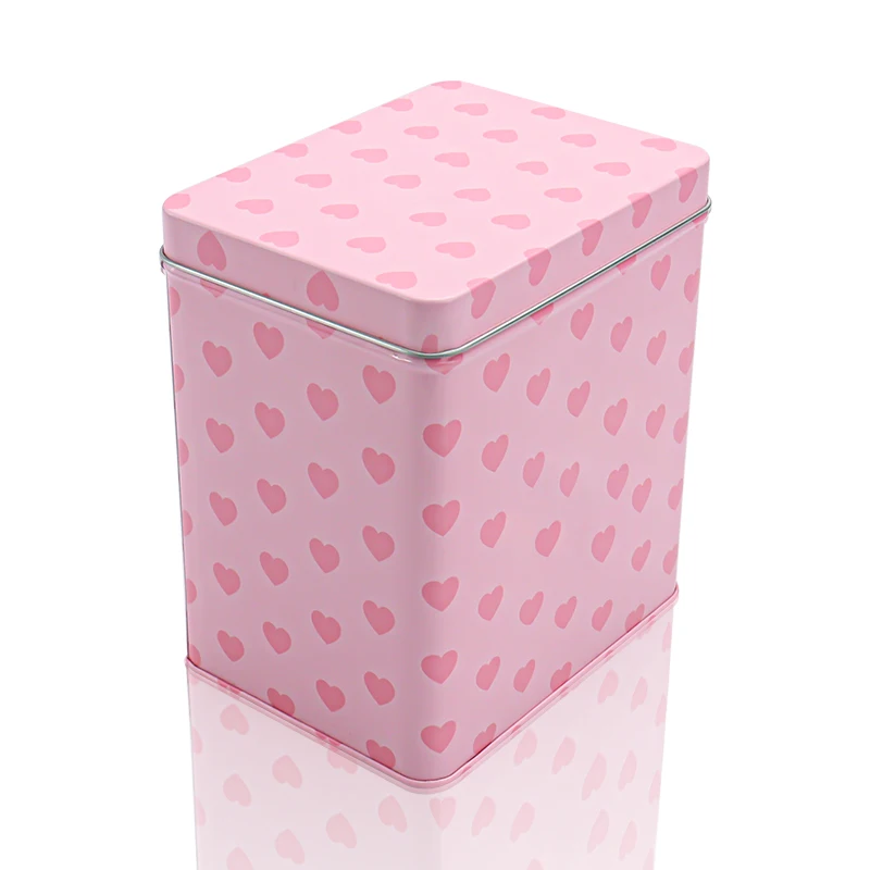 Chinese supplier new fashion rectangular cookies food tin container with lids empty cans