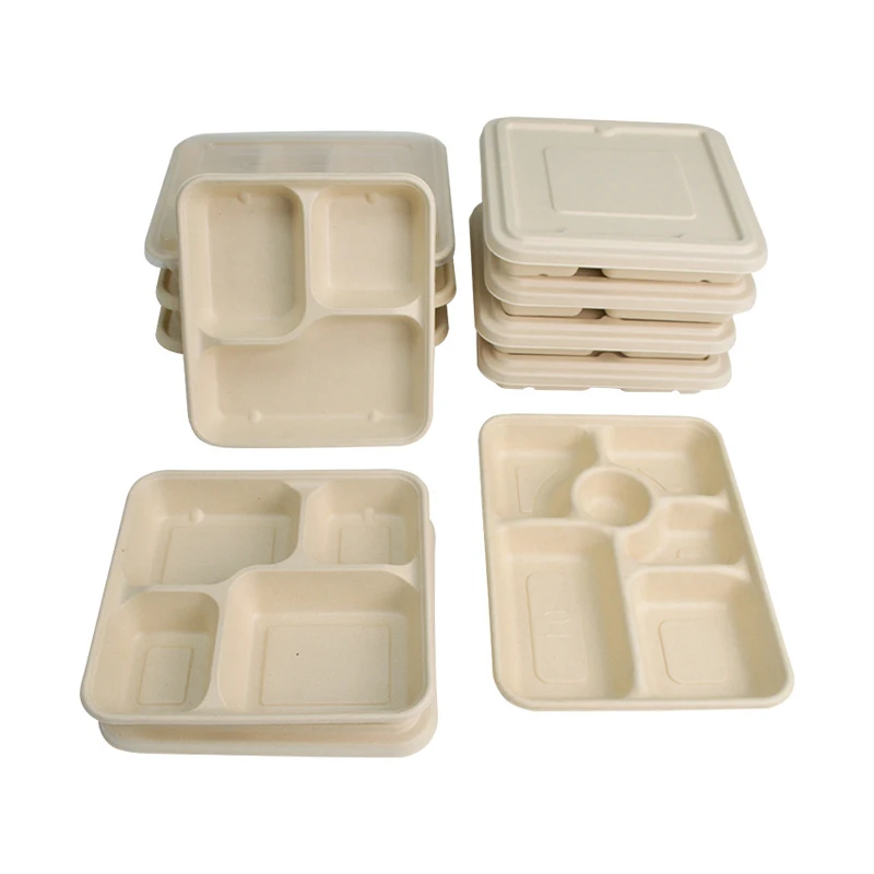 Eco-Friendly Food Grade Biodegradable Sugarcane Bagasse Box Factory Price take away bento lunch food container box
