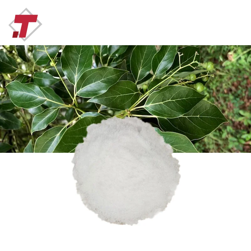 Best Price Synthetic Camphor Powder