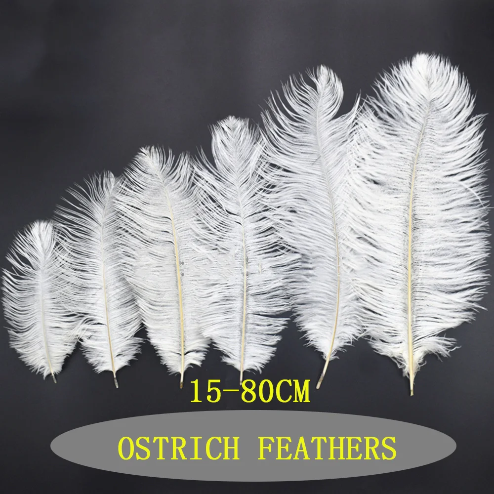 Wholesale  black White  Ostrich Feathers For Sale And Carnival Costumes