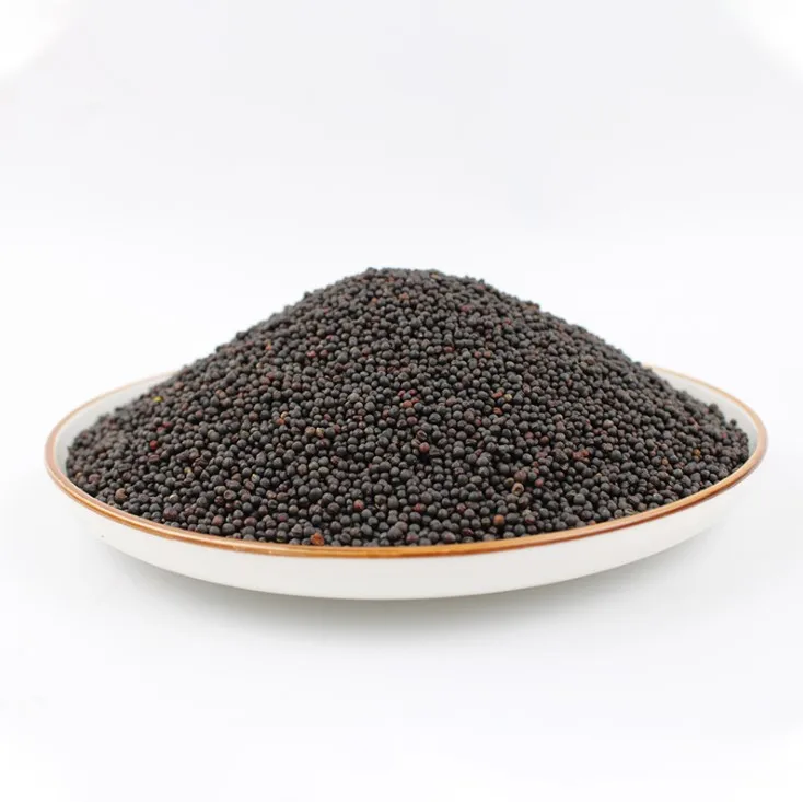 Wasabi Seed Spices Western Food Spices Black Mustard Seeds Seasoning Wholesale