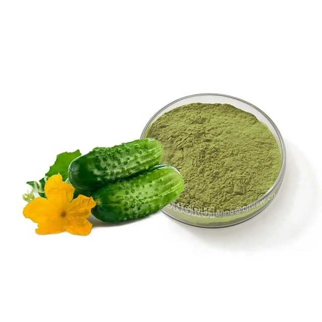 HONGRUI wholesale pure water soluble cucumber extract cucumber juice powder