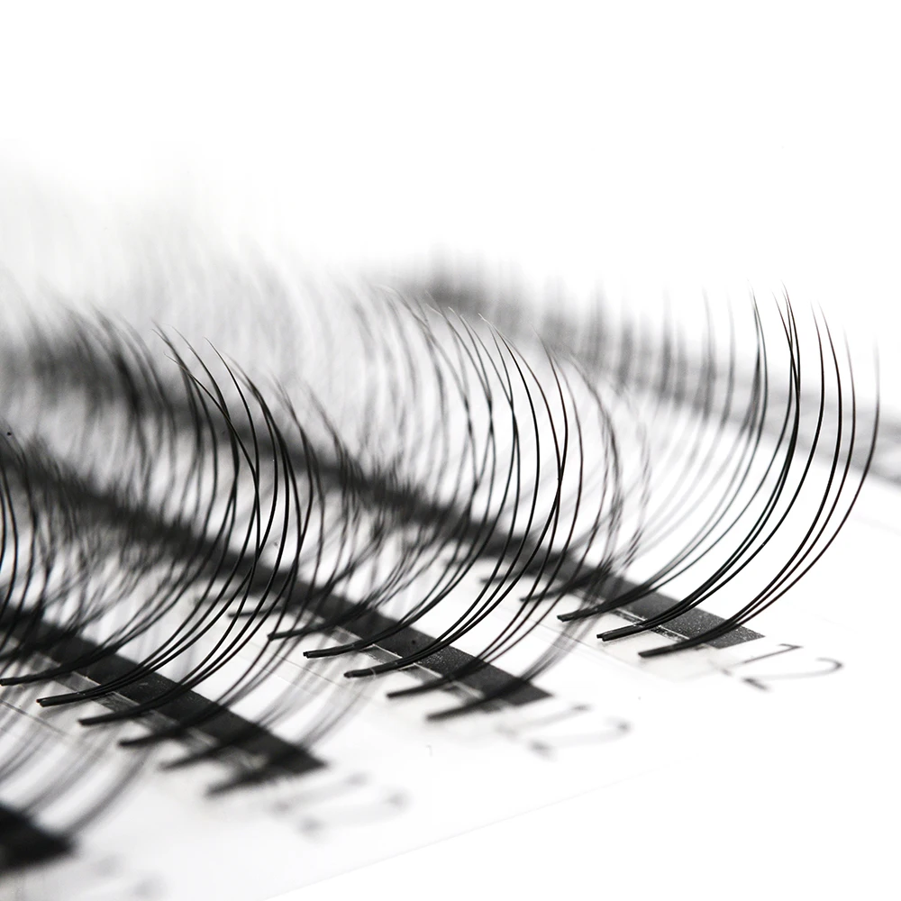 LashPlus Hand Made Pbt Premade Short Stem Lashes XL 6D Premade Volume Fans Eyelash Extension Supplies Private Label