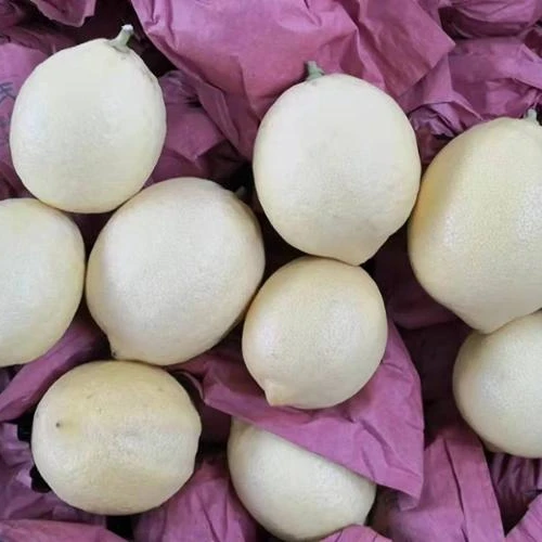 
Fresh China Lemon 