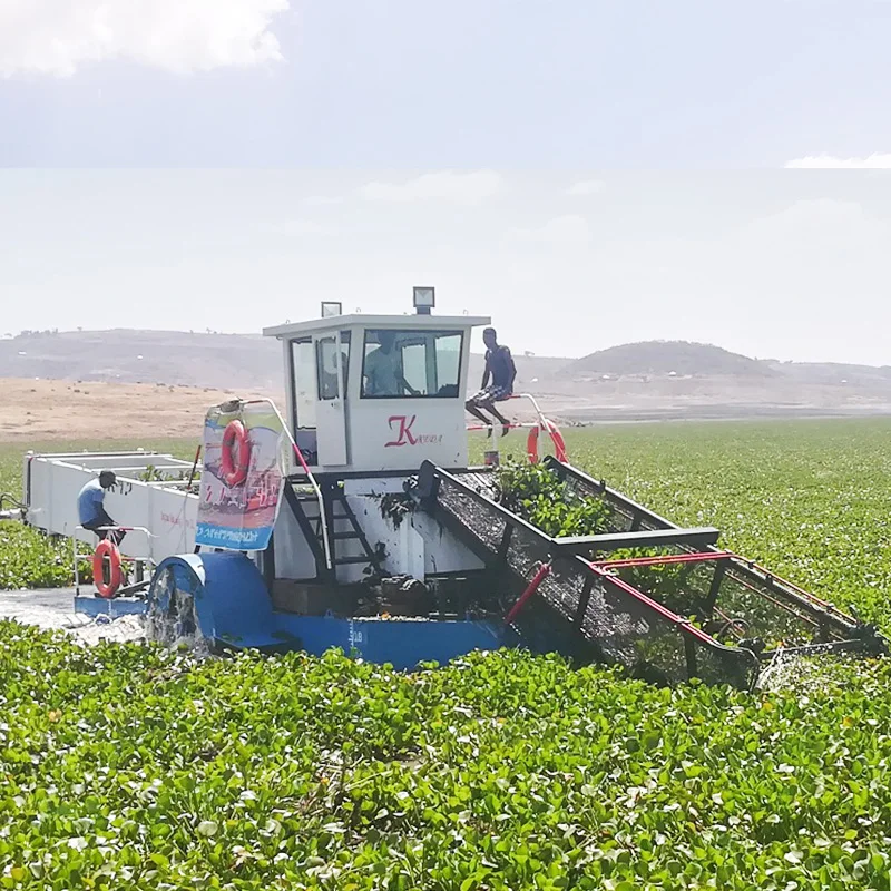 Full-automatic and Simple Operation Aquatic Weed Harvesting Machine for Sale