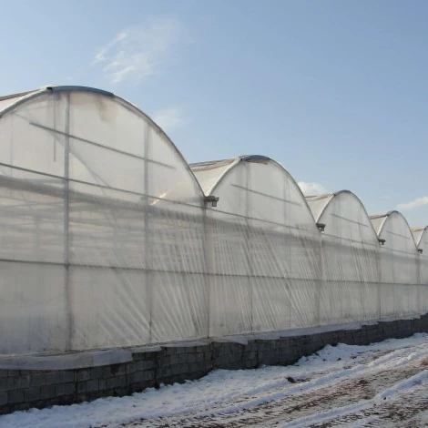 Wholesale Large Operation And Practicality Can Be Customized Multi-span Greenhouses