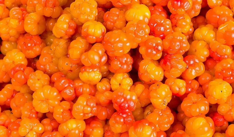Fresh Berries Blueberry Cloudberry Cranberry Strawberry / Eco-Friendly Plastic Trays GOST Standard Prepackage