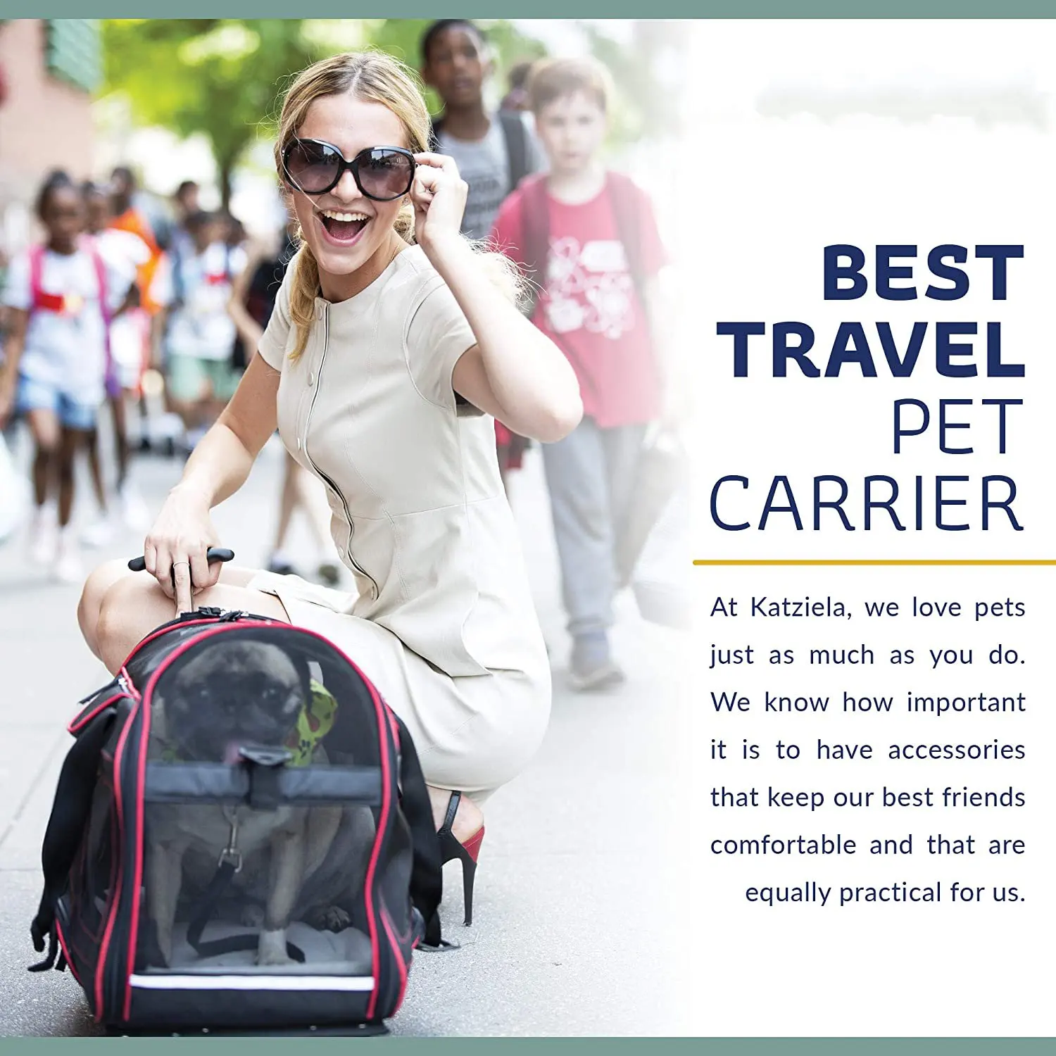 FREE SAMPLE Pet Carrier with Removable Wheels Soft Sided Airline Approved Small Dog and Cat Carrying Bag