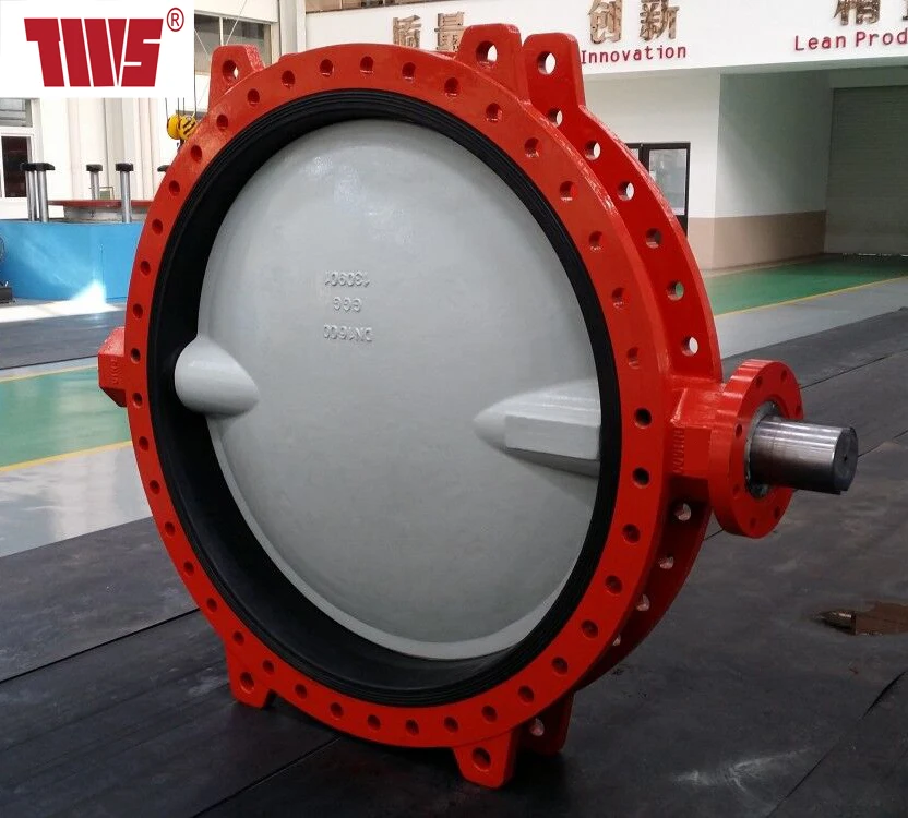 TWS DN1600 PN16 Soft Seal Concentric Double Flanged Butterfly Valve Free Shaft for Actuator