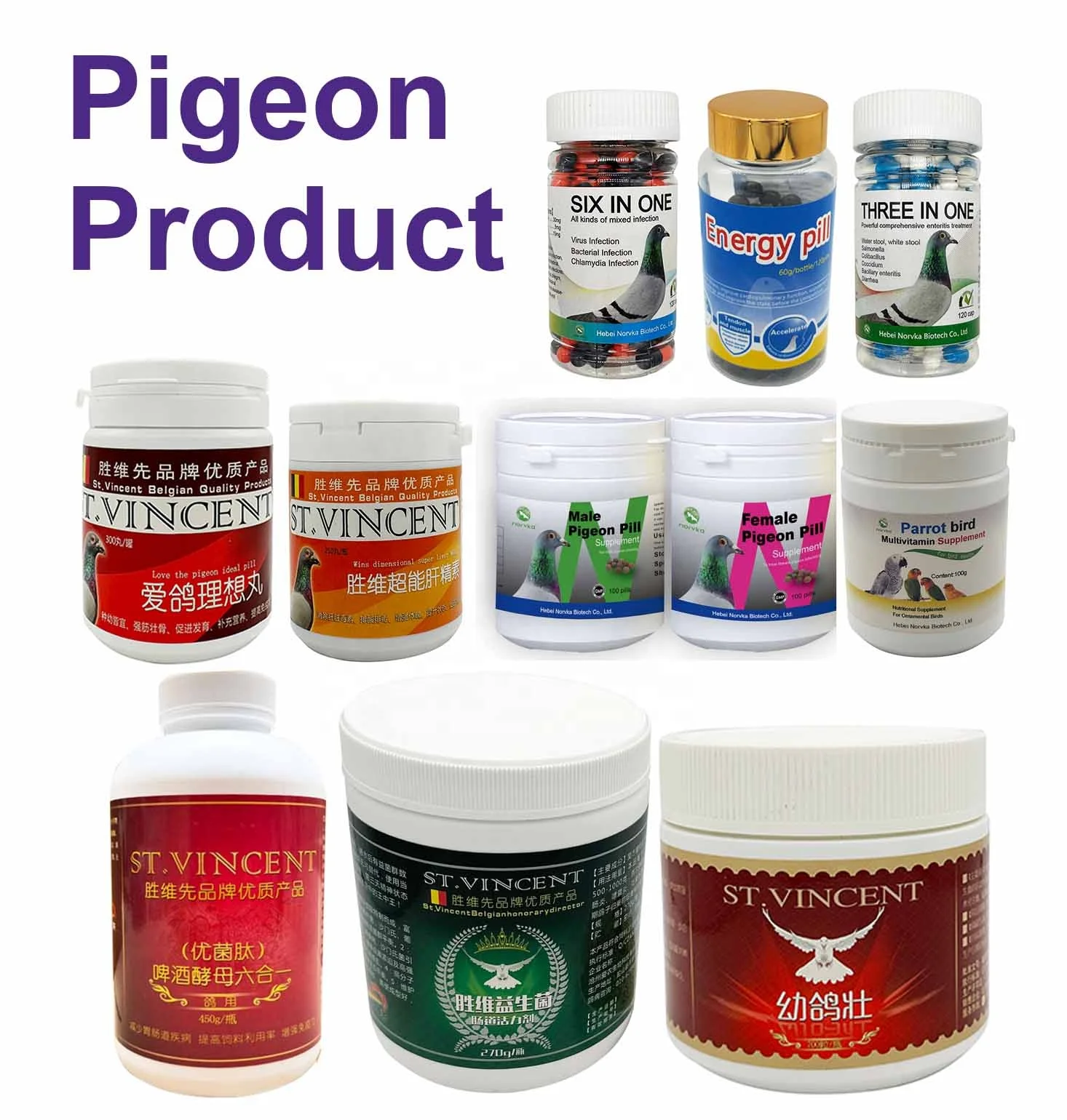 victory pills racing pigeon product for intestinal health protection supplement six in one  capsules