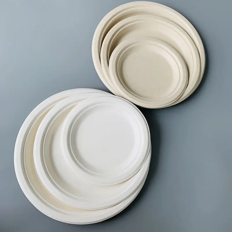 
Disposable Biodegradable Sugarcane Bagasse Tableware 