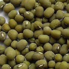 
organic mung bean 